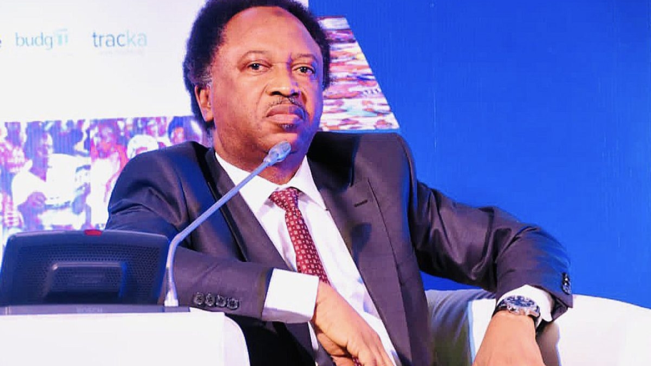 Shehu Sani Urges Collective Action On Kajuru Kidnapping