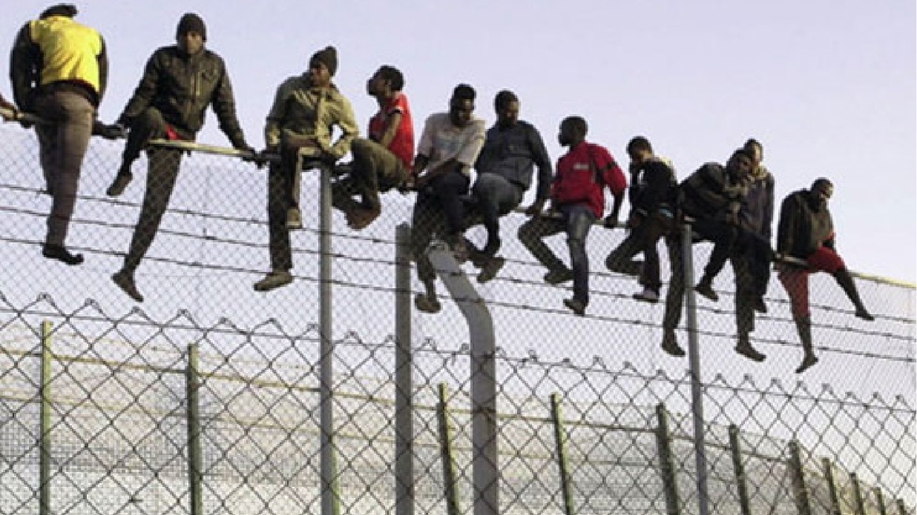 WAANSA Calls for Stronger Border Security To Curb Drug Trafficking