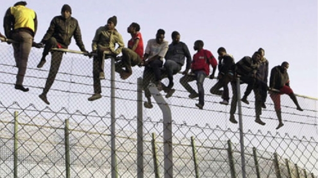 WAANSA Calls for Stronger Border Security To Curb Drug Trafficking